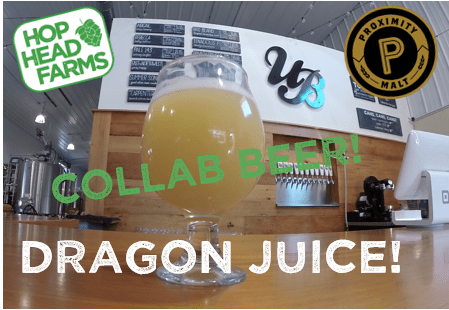 Collab Beer Dragon Juice