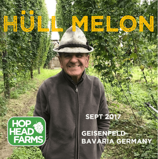 Hull Melon Hop Heads Farms