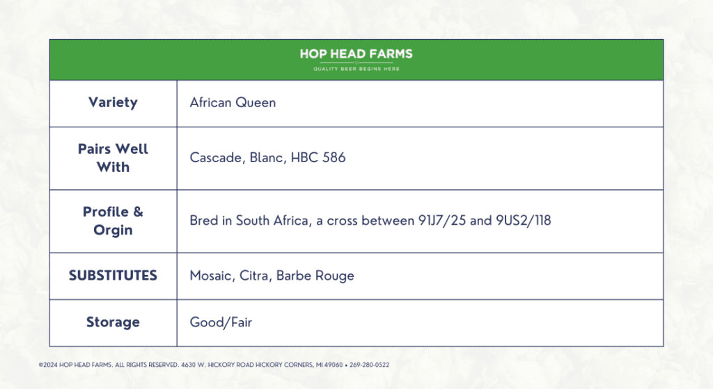 African Queen Hops Specifications Table from hop head farms detailing hop variety "african queen" with pairing, profile, origin, and substitute information on a white and green background.