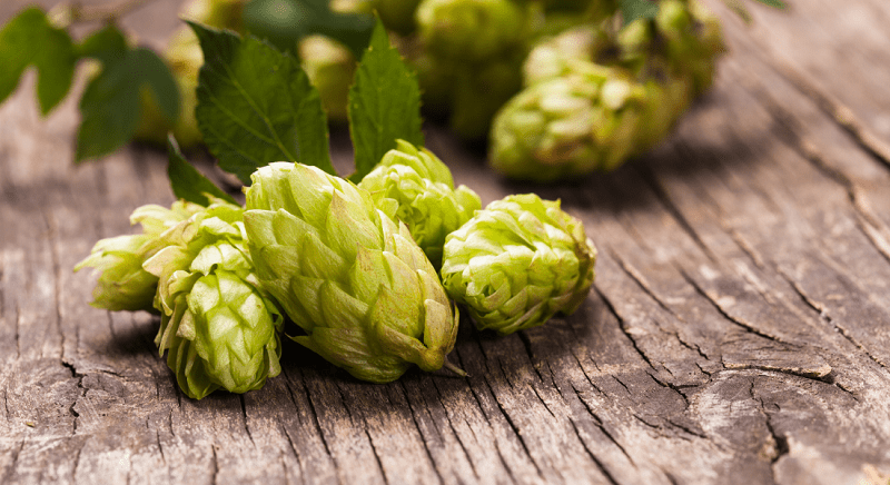 Close-up of hops cones with green leaves on a rustic wooden surface.