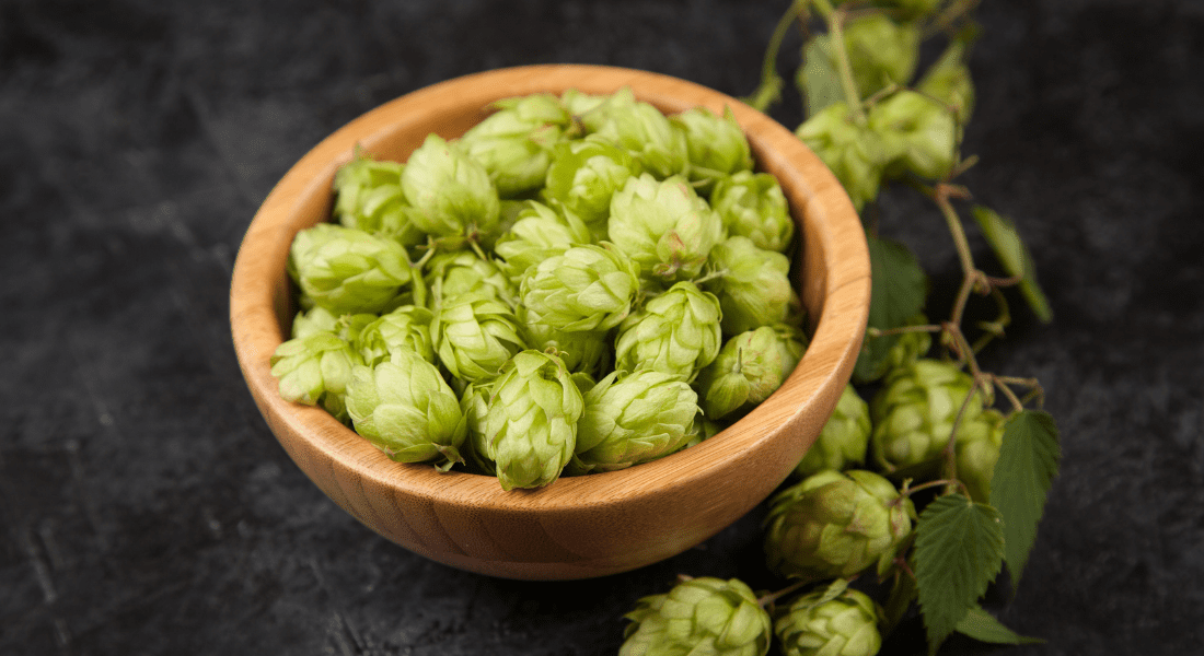 A wooden bowl filled with fresh green hops on a dark surface, with a sprig of hops beside it.