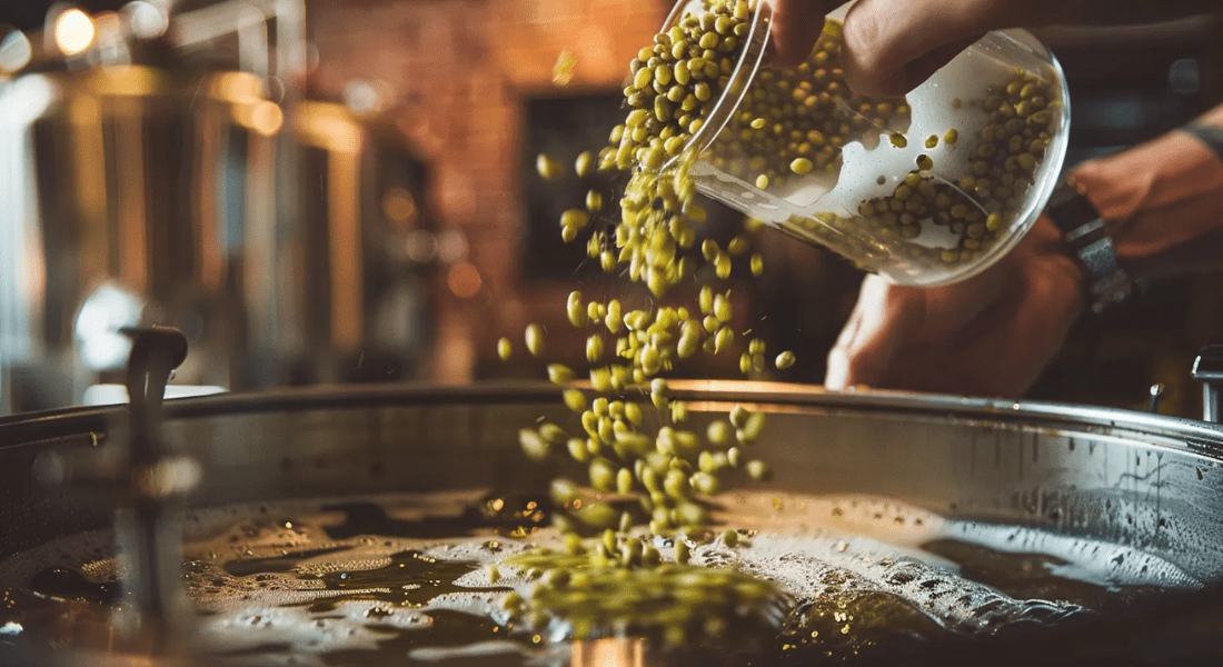 Hand pouring green hops into a brewing vessel with foaming liquid. How Do Hops Preserve Beer 