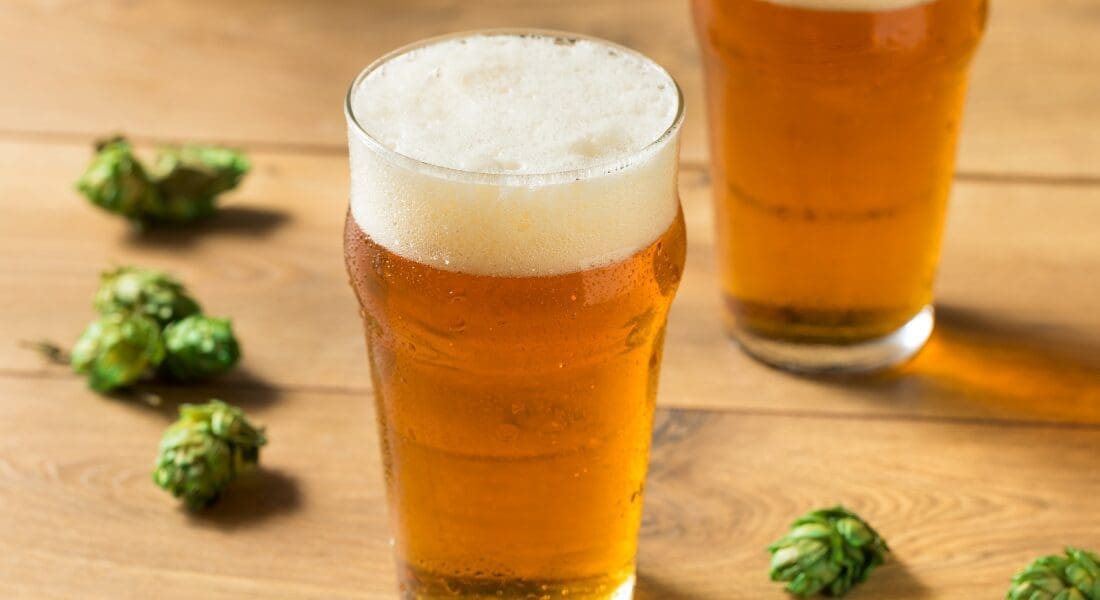 Two pint glasses of frothy beer sit on a wooden table surrounded by green hops.